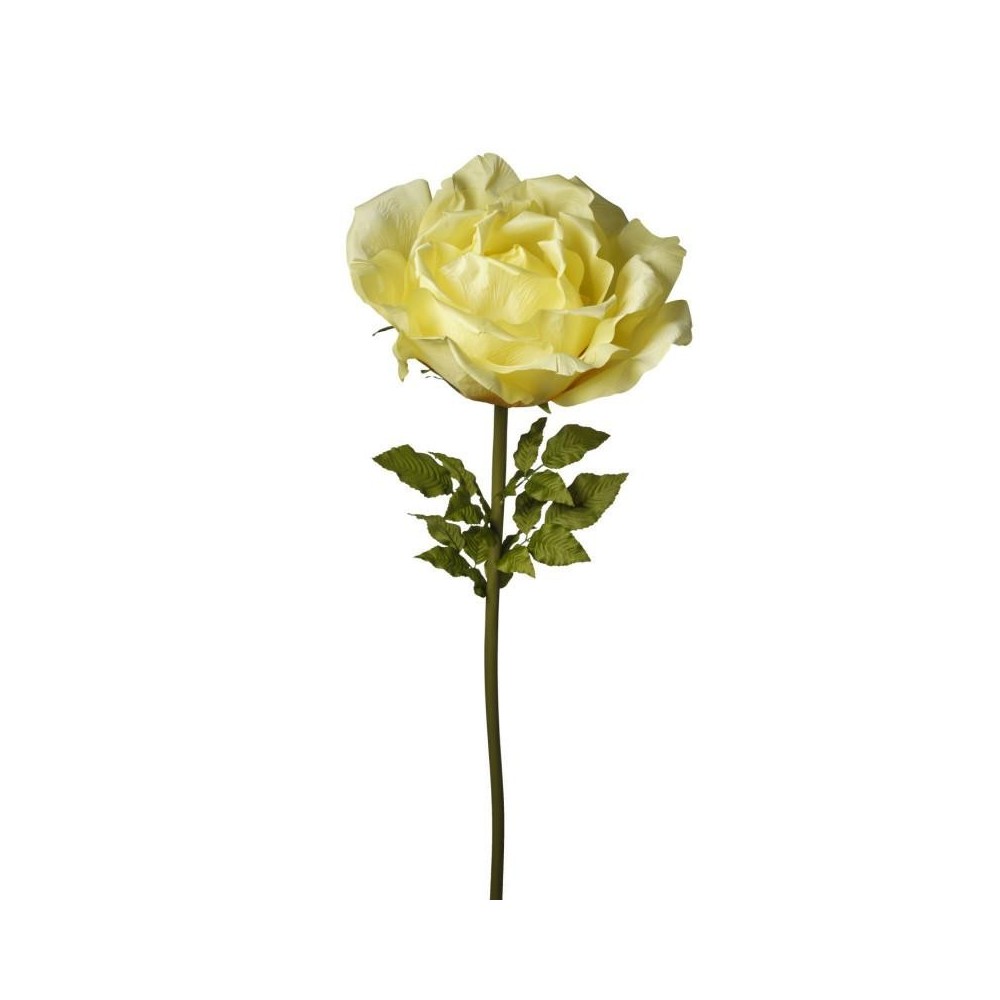 RAMO ROSA CM170 GIALLO CHIARO